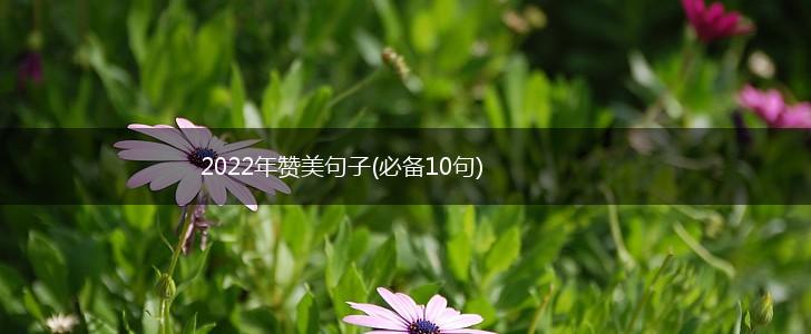 2022年赞美句子(必备10句),第1张