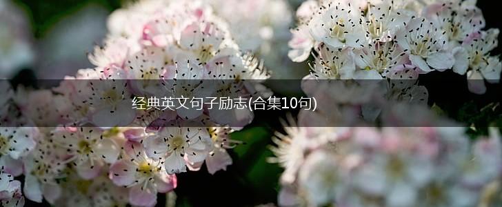 经典英文句子励志(合集10句),第1张