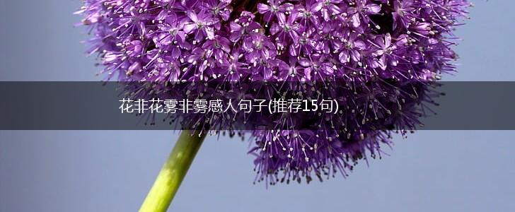 花非花雾非雾感人句子(推荐15句),第1张