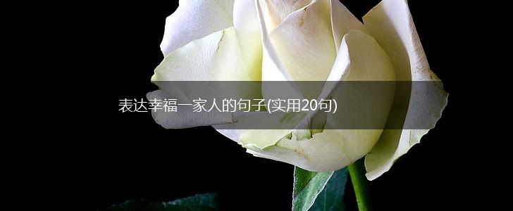 表达幸福一家人的句子(实用20句),第1张