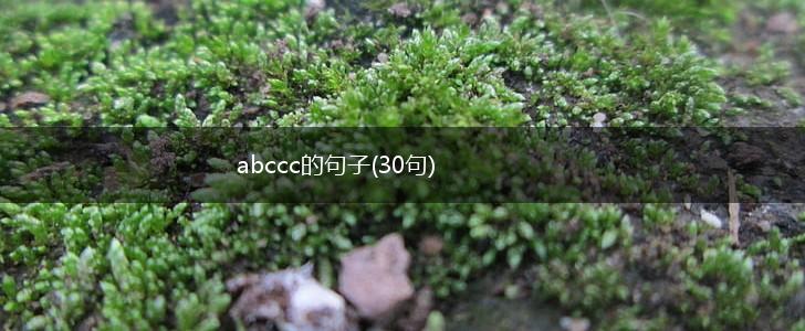 abccc的句子(30句),第1张