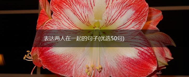 表达两人在一起的句子(优选50句),第1张