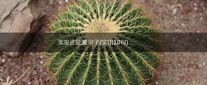 美发正能量句子(实用10句),第1张