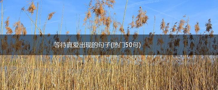 等待真爱出现的句子(热门50句),第1张