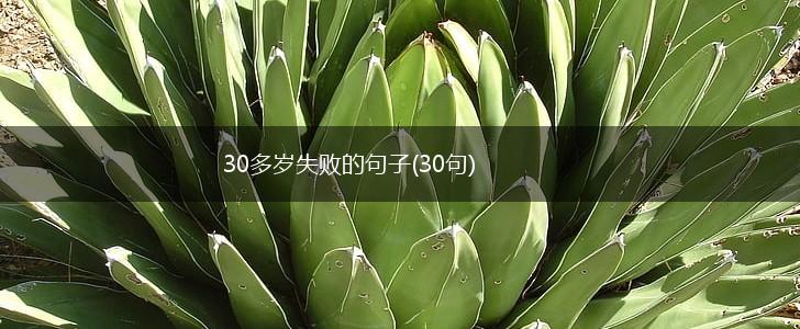 30多岁失败的句子(30句),第1张