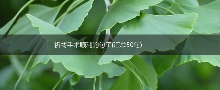 祈祷手术顺利的句子(汇总50句),第1张