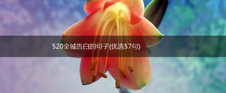 520全城告白的句子(优选57句),第1张
