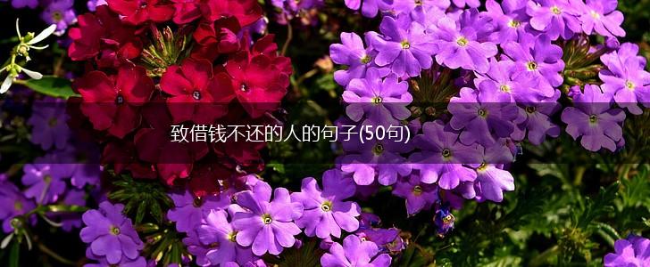 致借钱不还的人的句子(50句),第1张