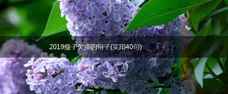 2019瘦子欠揍的句子(实用40句),第1张