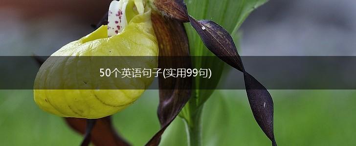50个英语句子(实用99句),第1张