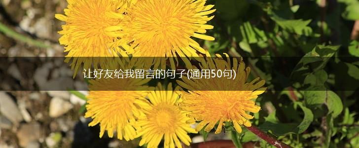 让好友给我留言的句子(通用50句),第1张