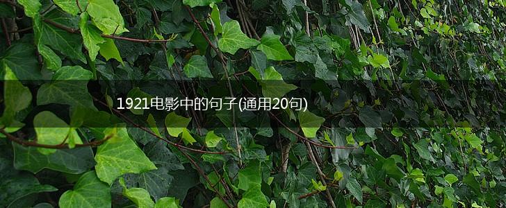 1921电影中的句子(通用20句),第1张