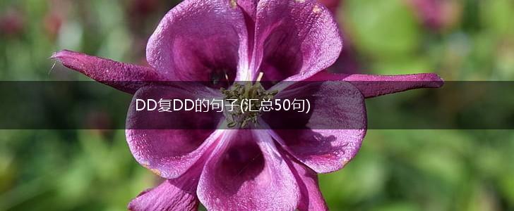 DD复DD的句子(汇总50句),第1张