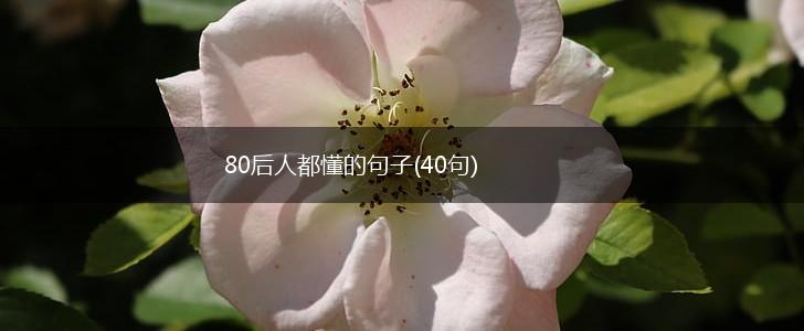 80后人都懂的句子(40句),第1张