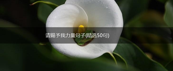 请赐予我力量句子(精选50句),第1张