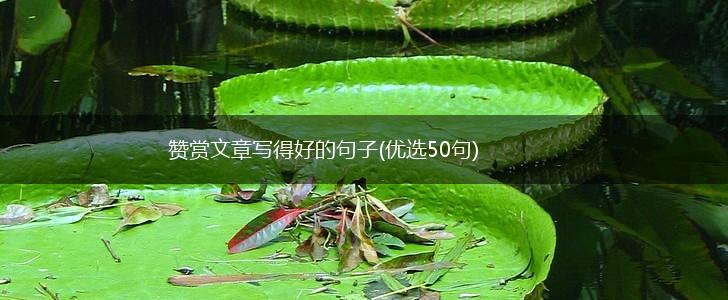 赞赏文章写得好的句子(优选50句),第1张