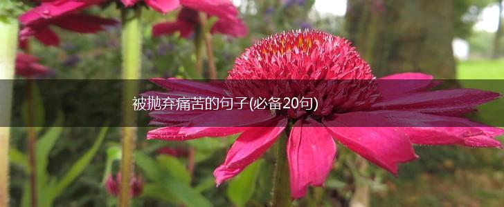 被抛弃痛苦的句子(必备20句),第1张
