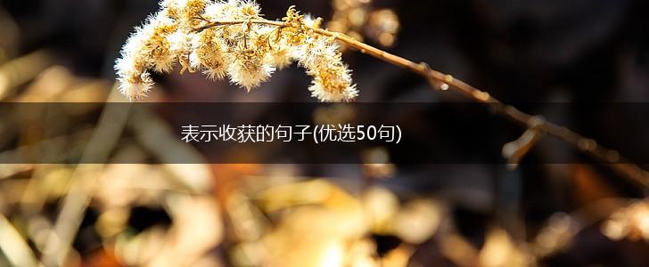 表示收获的句子(优选50句),第1张