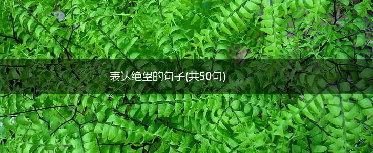 表达绝望的句子(共50句),第1张