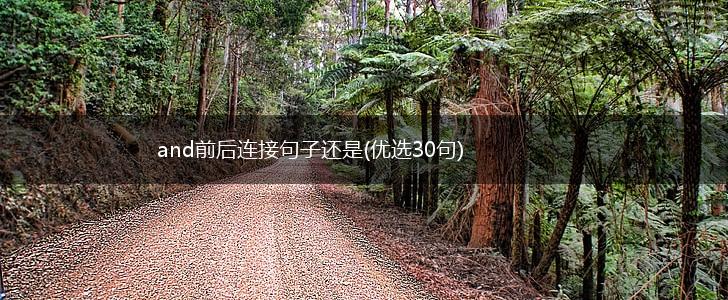 and前后连接句子还是(优选30句),第1张