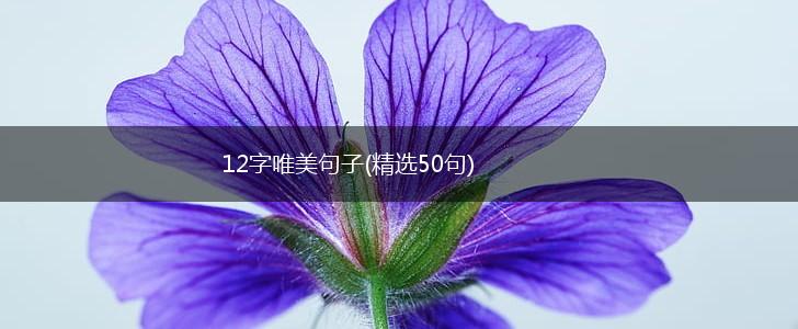 12字唯美句子(精选50句),第1张
