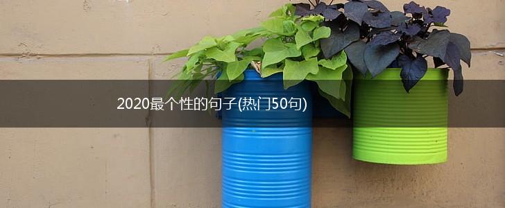 2020最个性的句子(热门50句),第1张