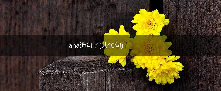 aha造句子(共40句),第1张