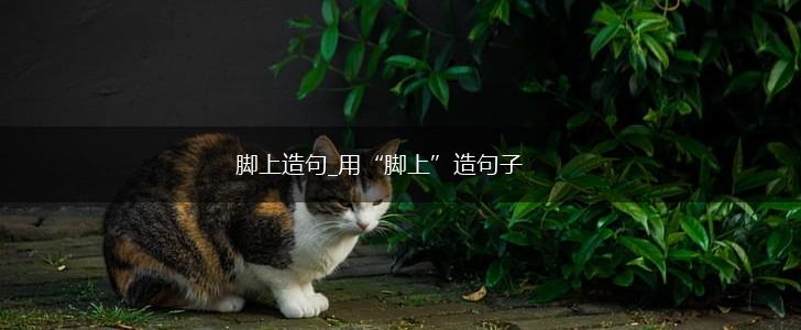 脚上造句_用“脚上”造句子,第1张