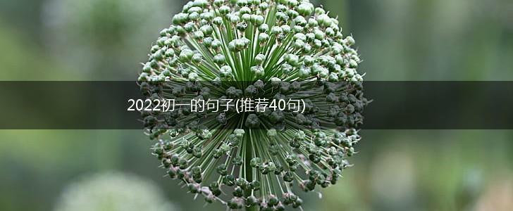 2022初一的句子(推荐40句),第1张