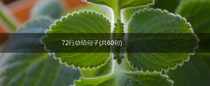 72行总结句子(共60句),第1张