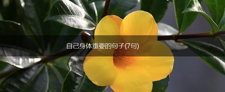 自己身体重要的句子(7句),第1张