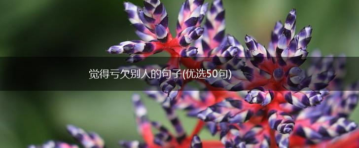 觉得亏欠别人的句子(优选50句),第1张