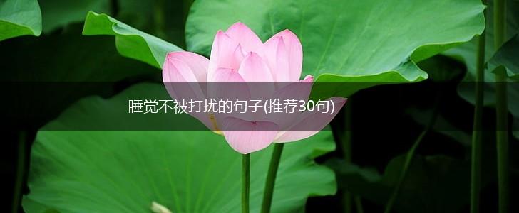睡觉不被打扰的句子(推荐30句),第1张