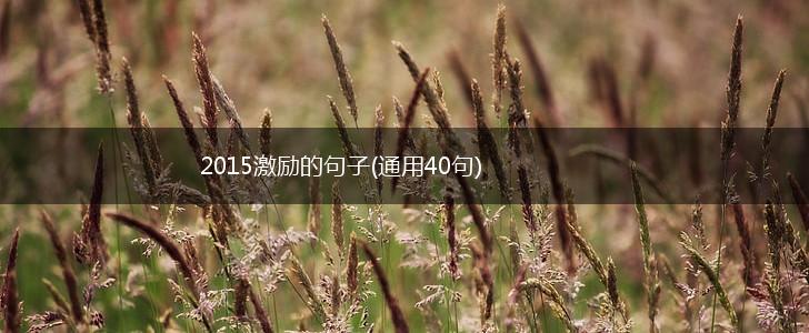 2015激励的句子(通用40句),第1张