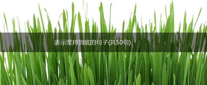 表示坚持到底的句子(共50句),第1张