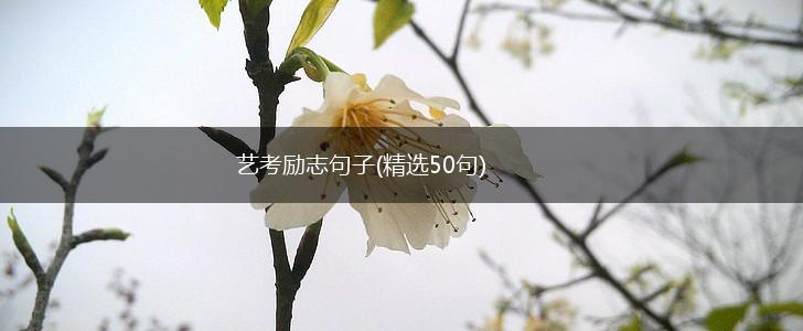 艺考励志句子(精选50句),第1张