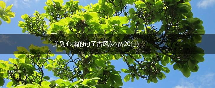 美到心痛的句子古风(必备20句),第1张