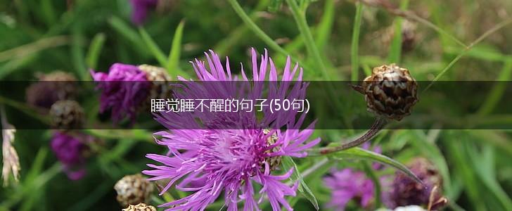 睡觉睡不醒的句子(50句),第1张