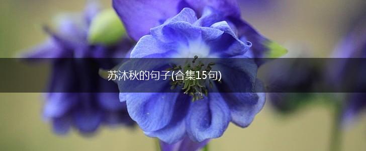 苏沐秋的句子(合集15句),第1张