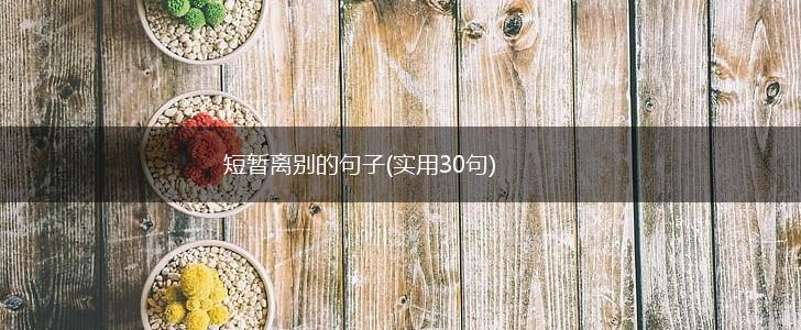 短暂离别的句子(实用30句),第1张
