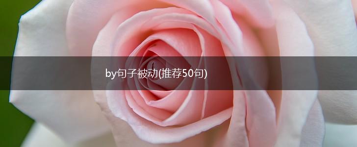 by句子被动(推荐50句),第1张