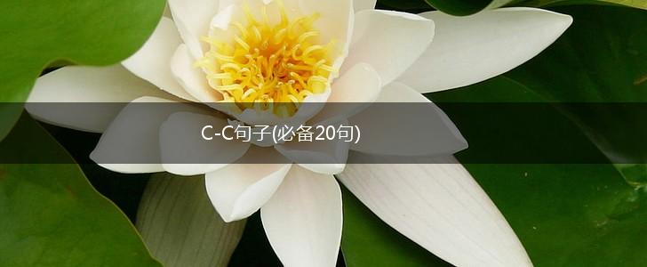 C-C句子(必备20句),第1张