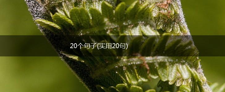 20个句子(实用20句),第1张