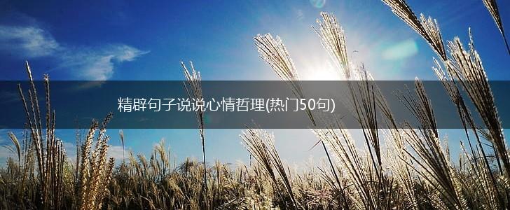 精辟句子说说心情哲理(热门50句),第1张