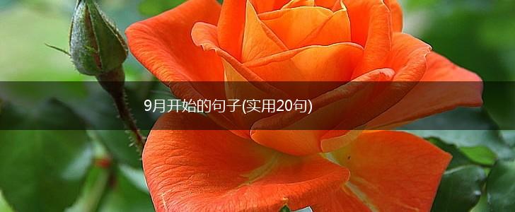 9月开始的句子(实用20句),第1张