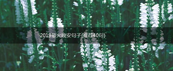2019最火晚安句子(推荐40句),第1张