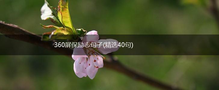 360屏保励志句子(精选40句),第1张