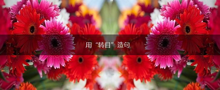 用“转目”造句,第1张