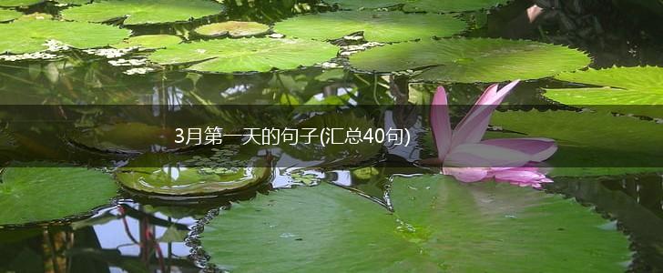 3月第一天的句子(汇总40句),第1张