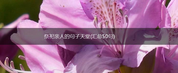 祭祀亲人的句子天堂(汇总50句),第1张